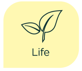 Thrive in Life